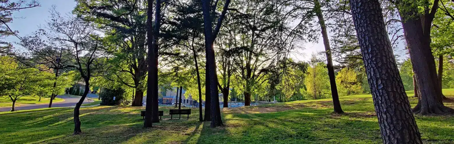 5 Things You Didn’t Know About Rollins Park